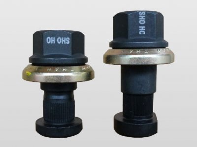 00106-ZF Disk Brake Guide Nut Wheel Bolt for Step Entrance Vehicles